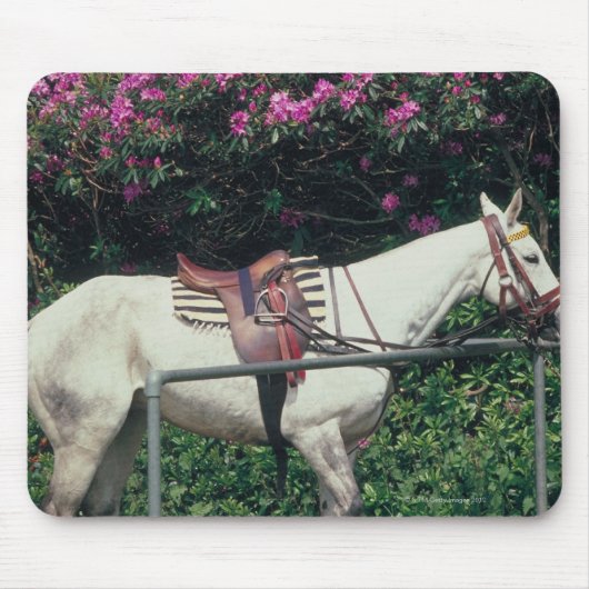 Tapis De Souris Cheval blanc dans un jardin (Devant)