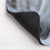Tapis De Souris Cheval Blanc Dans un Pin Enneigé (Coin)
