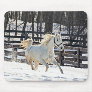 Tapis De Souris Cheval blanc galopant