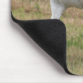 Tapis De Souris Cheval blanc tacheté (Coin)