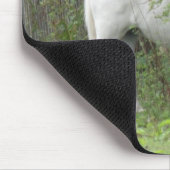 Tapis De Souris Cheval blanc timide Mousepad (Coin)