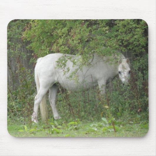 Tapis De Souris Cheval blanc timide Mousepad (Devant)