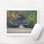 Tapis De Souris Cheval Brown à pied à travers la clôture (Avec souris)