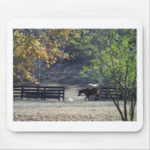 Tapis De Souris Cheval Brown à pied à travers la clôture (Devant)