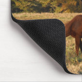 Tapis De Souris Cheval Brown dans le champ d'arbre jaune (Coin)