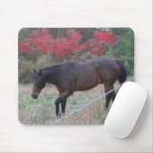 Tapis De Souris Cheval Brown dans les arbres d'automne rouges (Avec souris)
