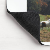Tapis De Souris Cheval Brown et blanc à l'étang d'automne (Coin)