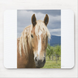 Tapis De Souris Cheval Brown léger