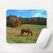 Tapis De Souris Cheval Brown rouge, arbres de chute, ciel bleu (Avec souris)