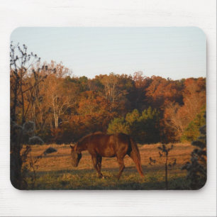 Tapis De Souris Cheval Brown rouge, bois d'automne.