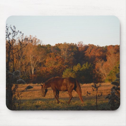 Tapis De Souris Cheval Brown rouge, bois d'automne. (Devant)