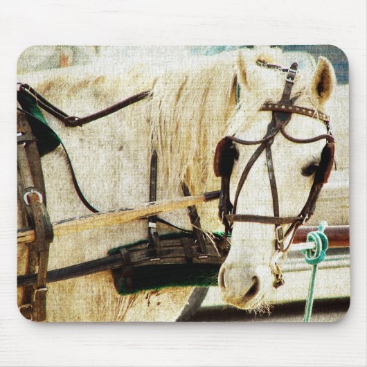 Tapis De Souris Cheval Buggy Amish Grey (Devant)
