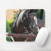 Tapis De Souris Cheval Buggy Bay Pinto Amish (Avec souris)