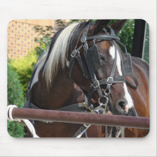 Tapis De Souris Cheval Buggy Bay Pinto Amish