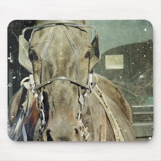 Tapis De Souris Cheval Buggy Grunge Amish (Devant)