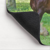 Tapis De Souris Cheval Clydesdale (Coin)