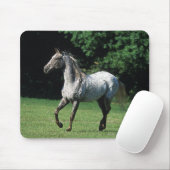Tapis De Souris Cheval d'Appaloosa courant 2 (Avec souris)