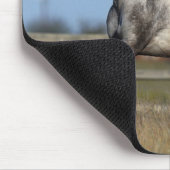 Tapis De Souris Cheval d'Appaloosa courant 3 (Coin)