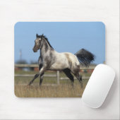 Tapis De Souris Cheval d'Appaloosa courant 3 (Avec souris)
