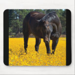 Tapis De Souris Cheval de baie dans un champ de fleurs jaunes<br><div class="desc">Une magnifique photo d'un grand cheval de baie dans un grand champ de fleurs jaunes. Ce bel équin se plie pour inspecter ces vêtements jaunes aux yeux noirs. Son visage est doux et a l'air réfléchi et gentil. La couleur et l'éclairage sont fantastiques et les couleurs de baie brun foncé...</div>