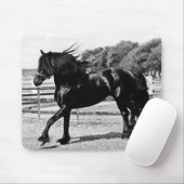 Tapis De Souris Cheval de beauté noire (Avec souris)