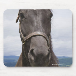 Tapis De Souris Cheval de brun foncé