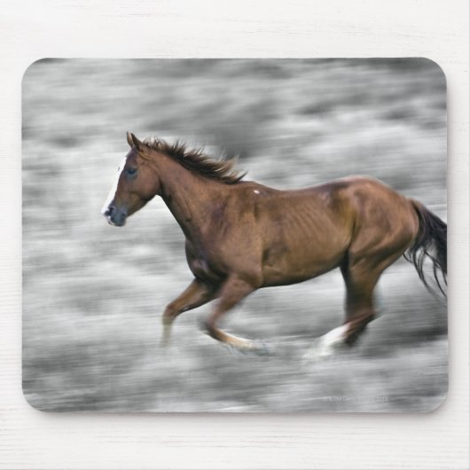 Tapis De Souris Cheval de course (Devant)