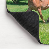 Tapis De Souris Cheval de Haflinger avec de mignons poulains Coure (Coin)