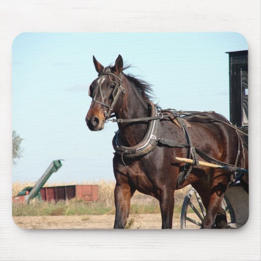 Tapis De Souris Cheval de l'Amish rural et buggy (Devant)