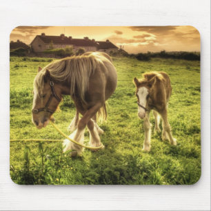 Tapis De Souris Cheval de mère et de poulain