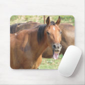 Tapis De Souris Cheval de rire (Avec souris)