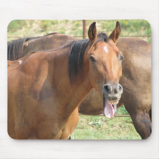 Tapis De Souris Cheval de rire (Devant)