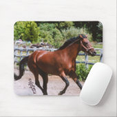 Tapis De Souris Cheval de Standardbred galopant Mousepad (Avec souris)