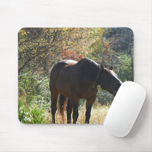 Tapis De Souris Cheval en automne (Avec souris)