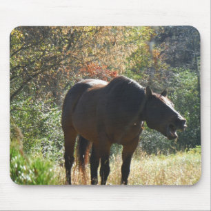 Tapis De Souris Cheval en automne
