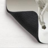 Tapis De Souris Cheval Equestre Blanc Mare (Coin)