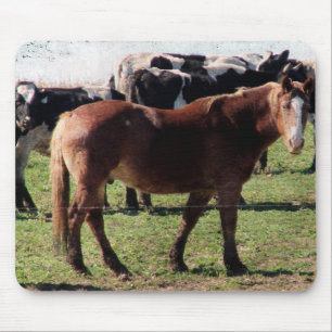 Tapis De Souris Cheval et bétail laitier