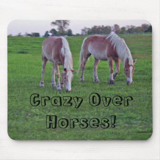 Tapis De Souris Cheval fou (Devant)