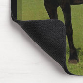 Tapis De Souris Cheval frison Mousepad #9 (Coin)
