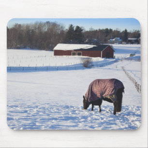 Tapis De Souris Cheval frôlant sur un champ neige-couvert sur