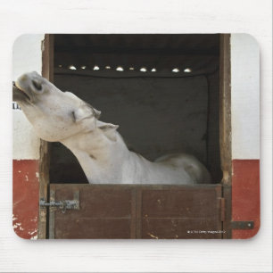 Tapis De Souris Cheval gris dans une écurie