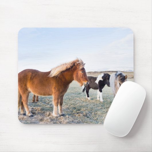Tapis De Souris Cheval islandais en hiver en Islande (Avec souris)