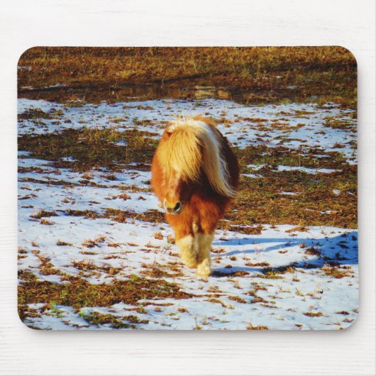 Tapis De Souris Cheval miniature Brown et crème dans la neige. (Devant)