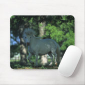 Tapis De Souris Cheval miniature se tenant dans les arbres (Avec souris)