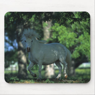Tapis De Souris Cheval miniature se tenant dans les arbres