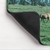 Tapis De Souris Cheval Mousepad (Coin)