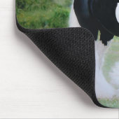 Tapis De Souris Cheval Mousepad de "Tessa" (Coin)