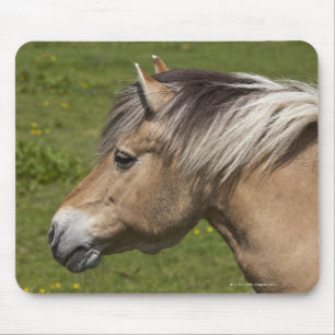 Tapis De Souris Cheval norvégien de fjord