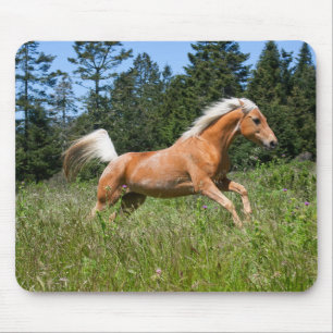 Tapis De Souris Cheval Palomino courant à travers une prairie