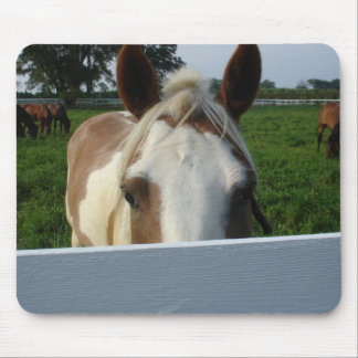 Tapis De Souris Cheval Peek a Boo